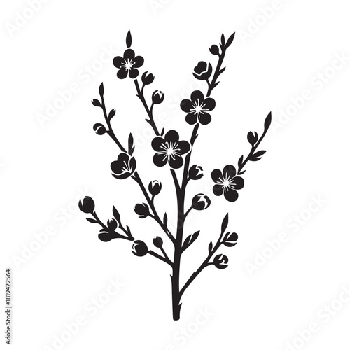 “Black Blossom Branch Clipart for Design Projects”