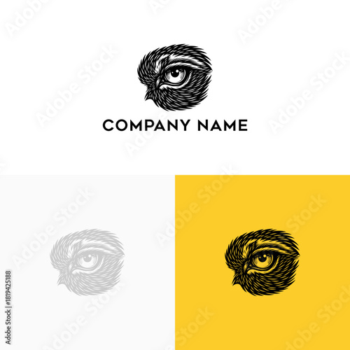 Detailed owl eye logo with intricate feather texture. A hand-drawn bird of prey vision symbol perfect for brand identity and corporate emblems