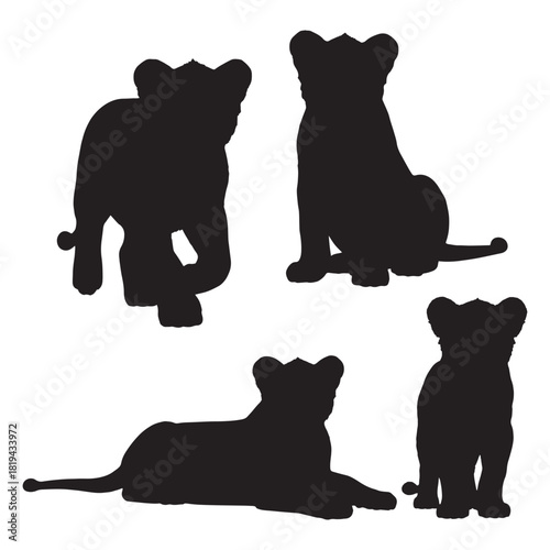 Young lion silhouettes