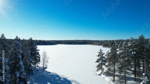 Aerial view of a serene winter landscape with snow-covered trees and a frozen lake under a clear blue sky.
