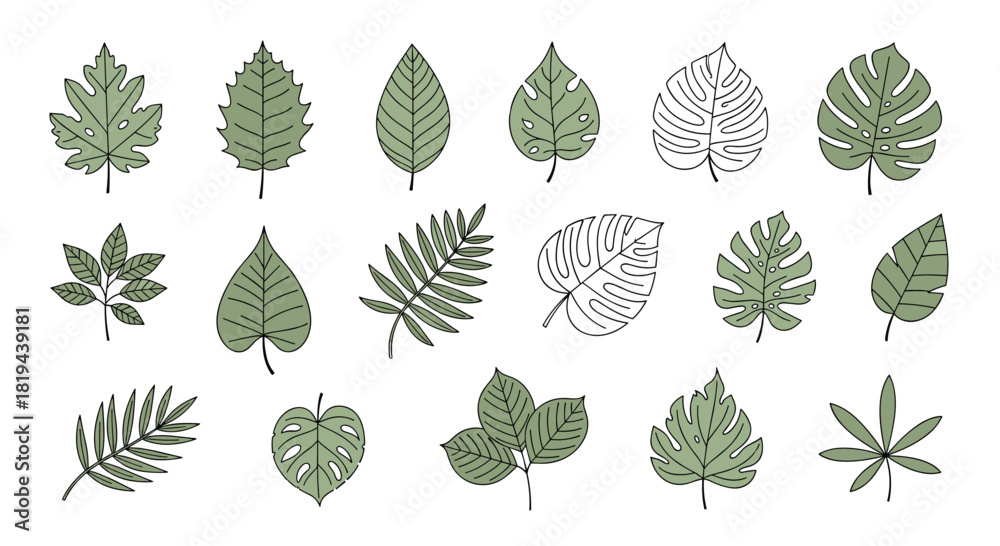 Naklejka premium Diverse collection of various leaves illustrated in doodle and line art styles a botanical set representing nature and plant life.
