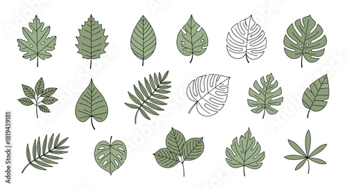 Diverse collection of various leaves illustrated in doodle and line art styles a botanical set representing nature and plant life.