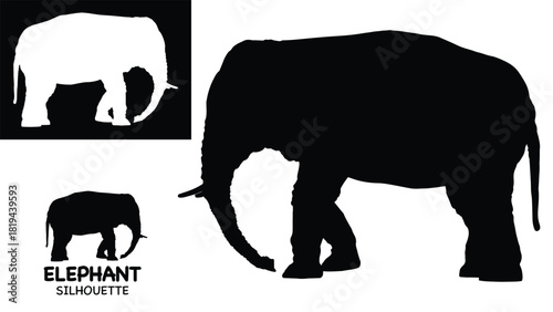 Elephant Silhouette icon. Simple vector illustration, Side view black big asian elephant silhouette vector illustration design on white and black background, Walking big elephant strong power, sign