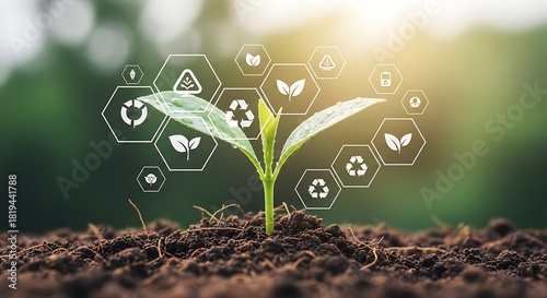 A seedling emerges from fertile soil, adorned with hexagonal icons representing sustainability.