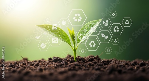 A young plant sprout emerges from fertile soil, representing sustainability and growth.