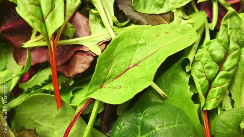 Salad mix close up texture. Healthy eating. Food background