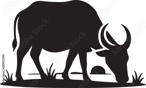 Black silhouette of a water buffalo grazing on grass black and white animal