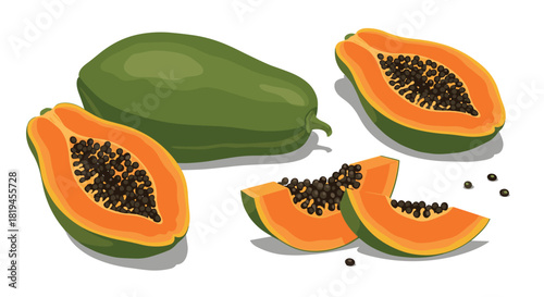 Detailed vector set of tropical papaya fruit including a whole fruit halves with seeds and delicious juicy slices.