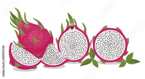 Beautiful set of exotic dragon fruit illustrations showing the whole pitaya with its pink skin and sliced views.