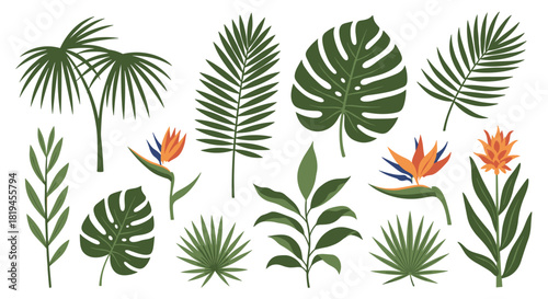 Beautiful collection of various isolated tropical leaves and exotic flowers perfect for summer and jungle-themed designs.