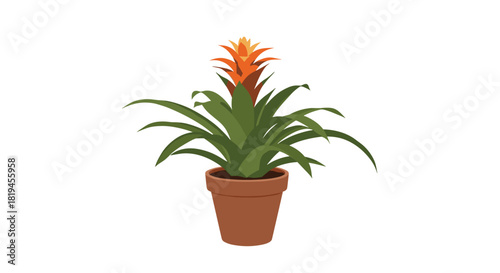 Vibrant illustration of a blooming bromeliad houseplant with orange and yellow flowers in a simple terracotta pot.