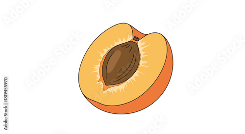 Simple line art illustration of a half peach showing the fuzzy skin orange flesh and the seed in the center.