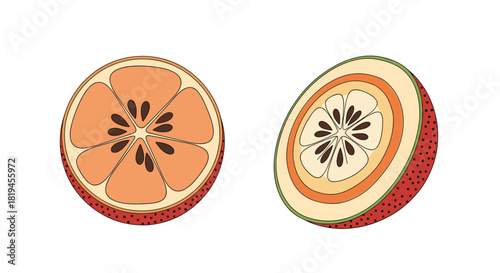 Retro-style illustration of two halves of an abstract or fantasy fruit with a unique seed pattern inside.