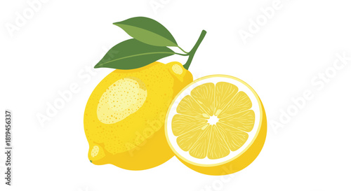 A bright vector illustration of one whole lemon with green leaves and a juicy half slice isolated on a white background.