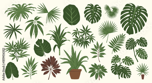 A large and diverse collection of popular tropical houseplant leaves and potted plants like monstera and palm in vector format.