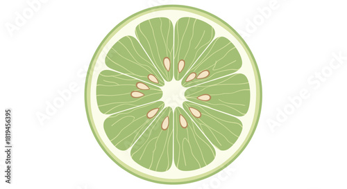 A minimal flat vector illustration of a round lime or green citrus fruit slice with seeds isolated on a white background.