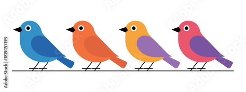 Four colorful birds are perched on a thin horizontal line.