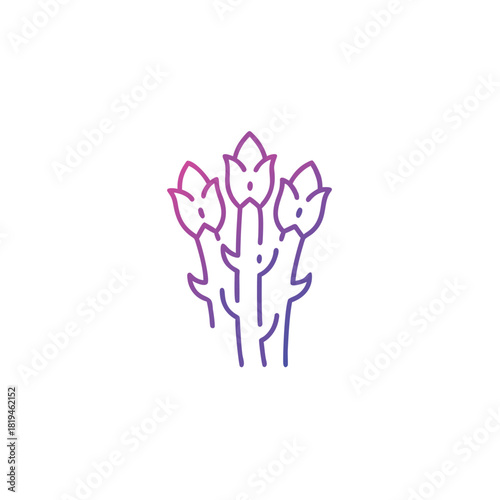 Gradient outline illustration of a fresh asparagus vegetable icon with a healthy food theme