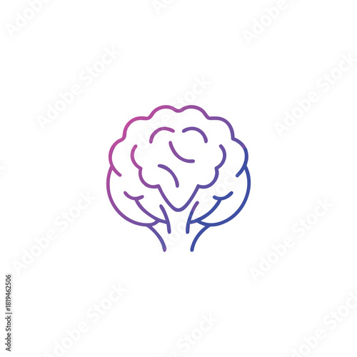 Cauliflower vegetable icon with gradient outline art for healthy food and cooking designs