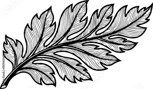 Elegant, intricate fern frond illustration evokes natural beauty and timeless design for sophisticated projects