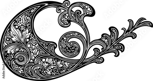 Elegant flourish design with intricate floral details and swirling organic shapes, perfect for decorative accents and timeless branding.