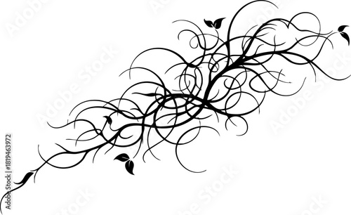 Elegant black vine flourish with delicate leaves adds organic beauty and sophisticated design to any creative project.