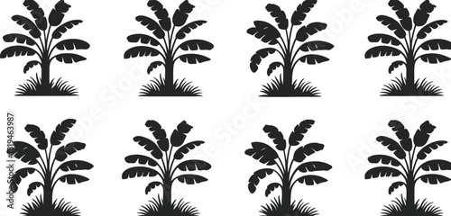 Banana plant silhouette, tropical foliage, black vector, leaf cluster, nature design, botanical art, minimal style, exotic plant, garden, organic