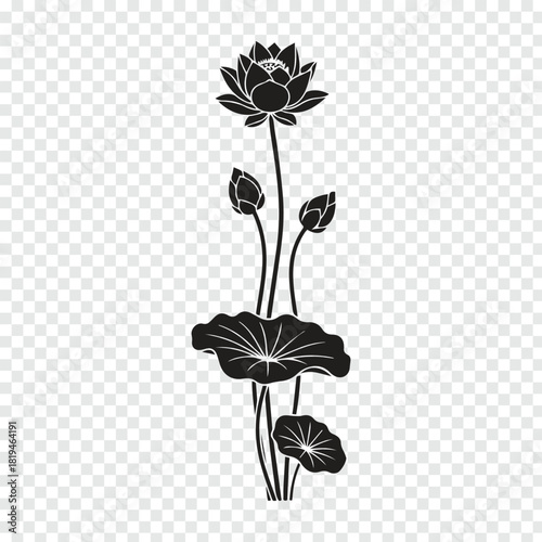 Elegant black lotus flower vector illustration with buds and leaves