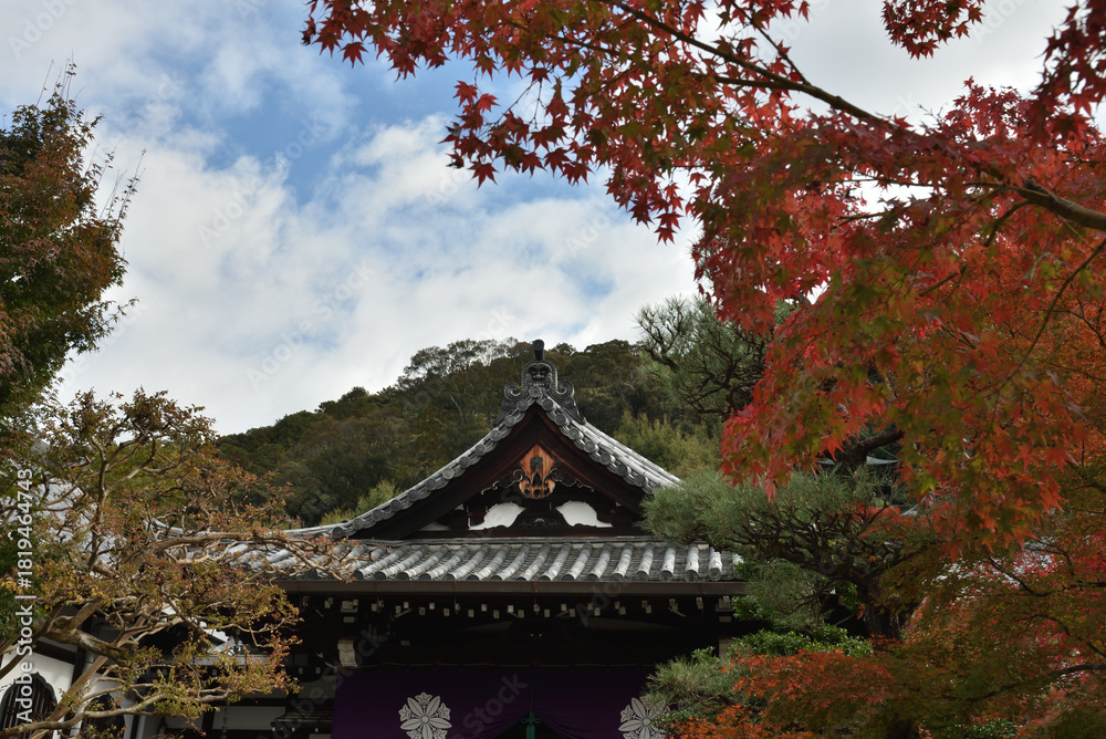 Fototapeta premium 永観堂禅林寺 大玄関とモミジ(京都市左京区)