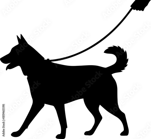 Energetic dog silhouetted on a walk, tail wagging, ready for adventure and outdoor fun with owner's hand holding leash