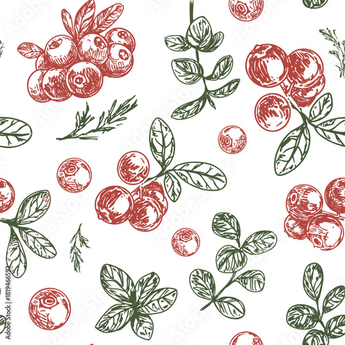 Lingonberry, cranberry, berries hand drawn sketch, monochrome vector illustration
