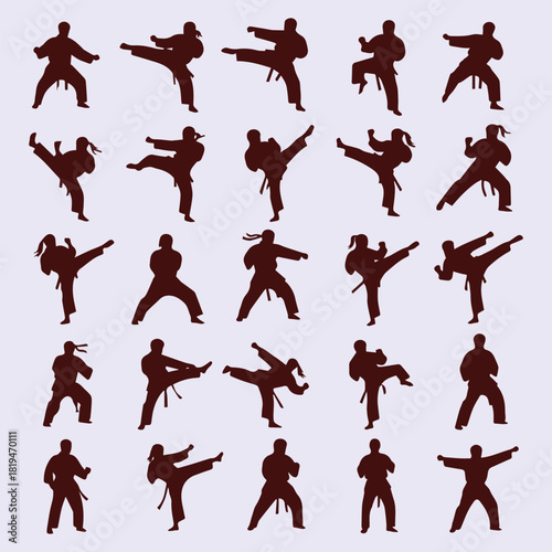 Martial arts silhouettes in various poses illustrating motion and discipline