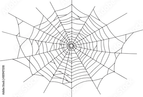 Spider on dew-covered web in morning nature setting