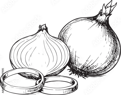 Fresh onions and garlic on a white background for cooking and healthy eating