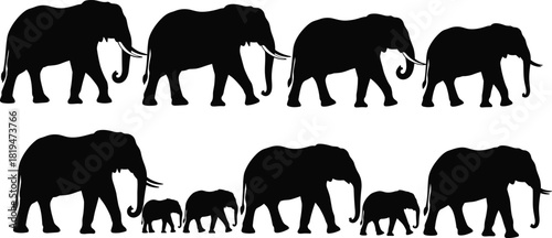 vector silhouettes of animals