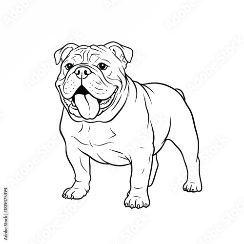 Cartoon Line Drawing of Smiling English Bulldog Face.