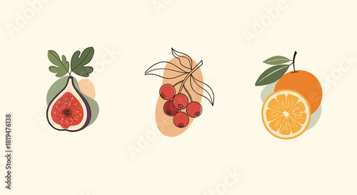Aesthetic collection of three fruit illustrations including a fig cranberries and an orange with abstract boho-style shapes.