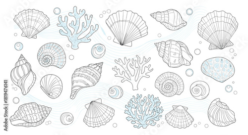 A beautiful collection of hand-drawn seashells and coral in an elegant black and white line art style for marine designs.