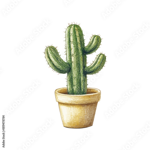 cactus in pot hand drawn vector illustration
