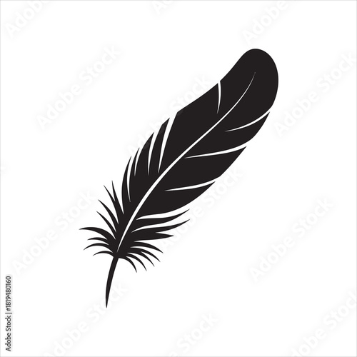 Single black feather curves slightly against the crisp white background here