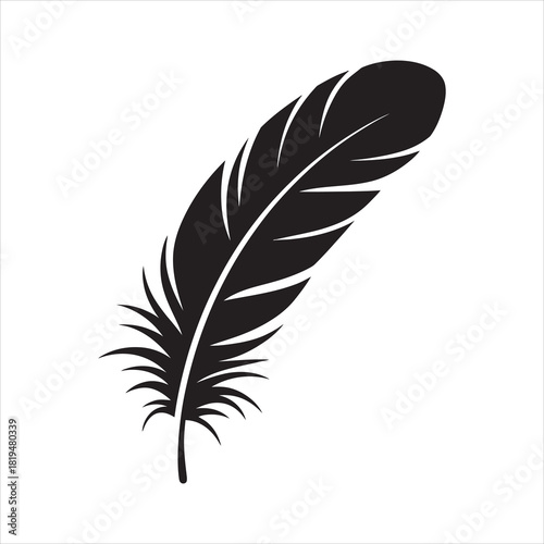Single silhouette of a detailed feather with delicate barbs displays elegantly against white