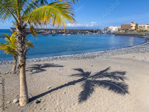 Attractive palm trees on beach at Playa San Juan, Teneriffe, Spain