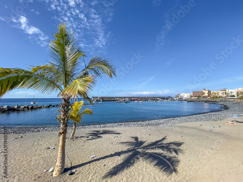 Attractive palm trees on beach at Playa San Juan, Teneriffe, Spain