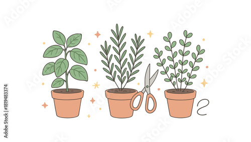 Spring garden flat vector illustration collection of cute blooming icons herb pots: basil rosemary thyme scissors twine tiny stars arranged horizontal composition handdrawn outlines soft