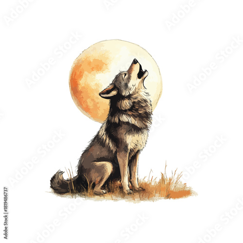 wolf howling at the moon drawn vector illustration