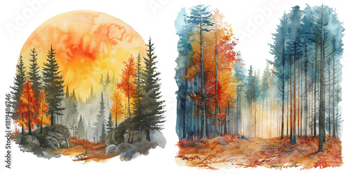 forest painting watercolor vector illustration