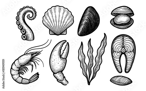 Hand drawn seafood collection: tentacle, shellfish, crustacean, and fish elements