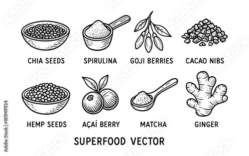 Hand drawn superfood collection featuring chia, spirulina, goji, cacao, hemp, acai, matcha, ginger