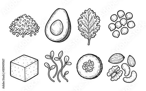 Hand drawn set of vegan protein sources including quinoa, tofu, and avocado