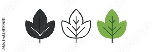 leaf icons three leaf icons one flat solid monochrome one thin black outline black and white one full color flat icon fresh green eco style